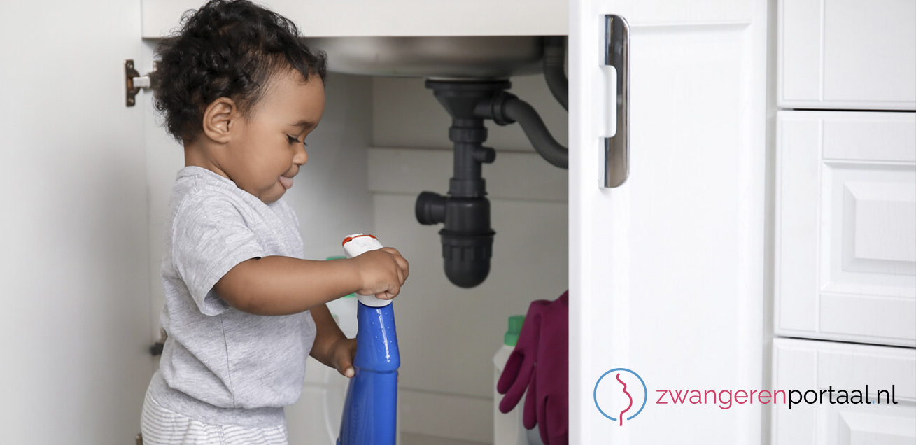 ehbo_zwangerenportaal